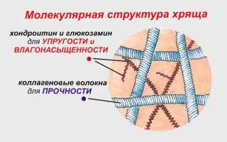 Эффективность хондропротекторов при остеохондрозе: научные исследования и выводы