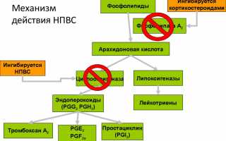 Как выбрать препараты для пожилых от болей в суставах? Полезные советы