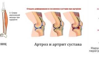 Показания к самомассажу ног и способы его проведения для здоровья