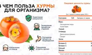 Можно ли употреблять хурму при лечении подагры и ее последствия?