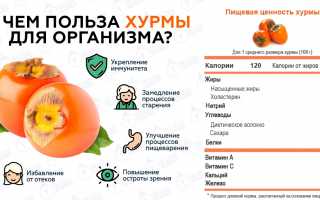 Можно ли употреблять хурму при лечении подагры и ее последствия?