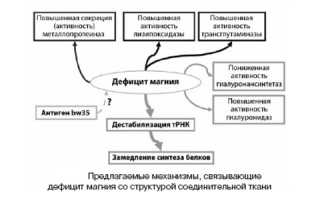Признаки дисплазии соединительной ткани и ее лечение: важные аспекты