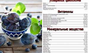 Выясняем, разрешено ли употреблять сливу при подагре и ее влияние на здоровье