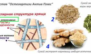 Инструкция по применению Остеоартизи Актив Плюс для здоровья суставов