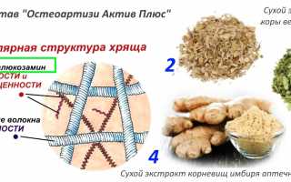Инструкция по применению Остеоартизи Актив Плюс для здоровья суставов