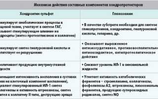 Описание препарата Хондромарин и принцип его действия для здоровья суставов
