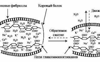 Как плавать при межпозвоночной поясничной грыже для улучшения здоровья?