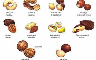 Какие орехи рекомендованы к употреблению при подагре для здоровья?