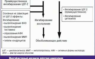Использование противовоспалительного препарата Нимид для лечения заболеваний