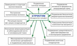 Обзор доступных заменителей препарата Структум для здоровья