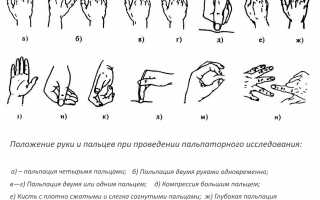 Что лечит врач мануальный терапевт? Узнайте больше о его методах