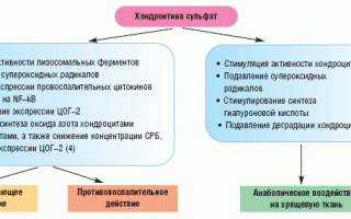 Хондролон — современный препарат для лечения суставов и восстановления