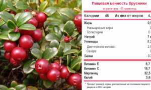 Рецепты применения брусники для лечения подагры и улучшения здоровья