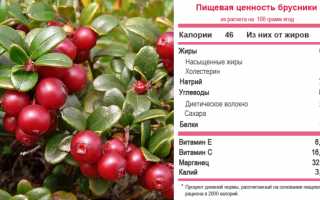 Рецепты применения брусники для лечения подагры и улучшения здоровья