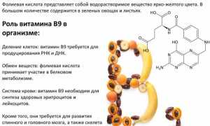 Польза фолиевой кислоты при лечении артрита и его профилактике