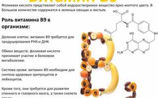 Польза фолиевой кислоты при лечении артрита и его профилактике