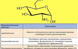 Применение Хондроксида Максимум для суставов и заменители крема: полезные советы и рекомендации