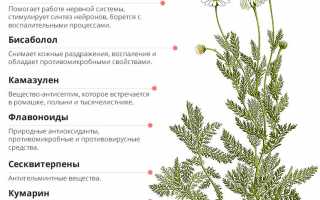 Польза ромашки для подагриков и ее применение в народной медицине