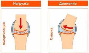3 действенных заменителя препарата Гиалуром для здоровья кожи