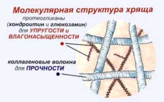 Готовим холодец для лечения суставов и связок в домашних условиях