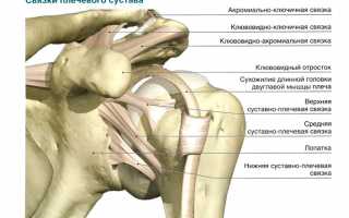 Выясняем как можно укрепить связки плечевого сустава для здоровья