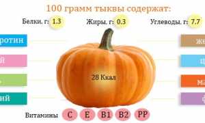 Чем полезна тыква при подагре для здоровья?