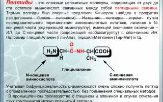 Лекарства с пептидами для связок и суставов: эффективные решения для здоровья