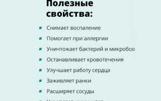 Как использовать каланхоэ при заболеваниях суставов для улучшения здоровья?