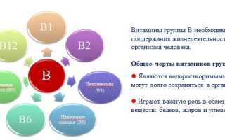 Какие витамины нужно пить при поясничной грыже для улучшения состояния?