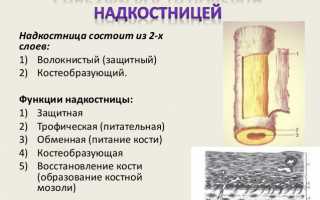 Что такое периостит, его виды и способы лечения: полезная информация для пациентов