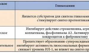 Ротадон для лечения и профилактики воспалительных процессов в суставах: полезные свойства и применение