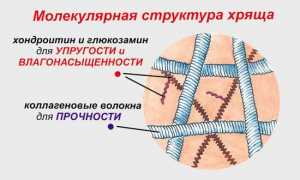 Препарат ArthroStop — эффективное средство для суставов и их здоровья