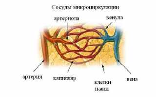 Лечение банками остеохондроза для здоровья и восстановления