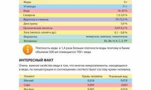 Массаж с медом от остеохондроза для здоровья и расслабления