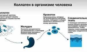 Показания и способ применения лекарства Артроцельс для здоровья