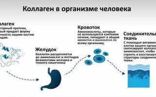 Показания и способ применения лекарства Артроцельс для здоровья