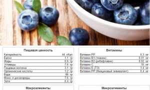 Чем полезна черника при подагре и как ее применять для здоровья?