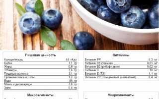Чем полезна черника при подагре и как ее применять для здоровья?