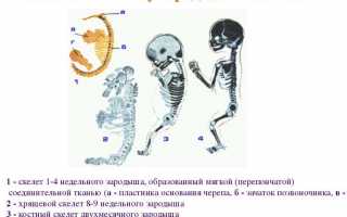 Симптомы конкресценции и методы ее коррекции: важные аспекты и рекомендации
