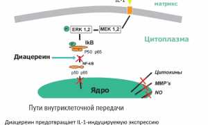Какой препарат лучше выбрать: Диартрин или Диафлекс для лечения?