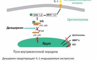 Какой препарат лучше выбрать: Диартрин или Диафлекс для лечения?