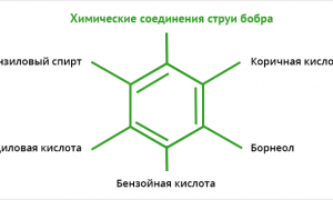 Лечение заболеваний суставов с помощью бобровой струи: эффективные методы и рекомендации