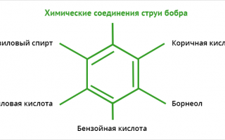 Лечение заболеваний суставов с помощью бобровой струи: эффективные методы и рекомендации