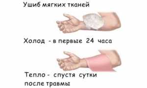 Лечение ушибов с помощью капустного листа в домашних условиях