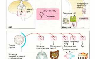 Особенности лечения суставов пчелиными укусами для здоровья
