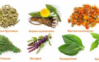 Применение препарата Артровит для лечения суставов и их восстановления