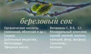 Березовый сок — целебный напиток при подагре и его полезные свойства