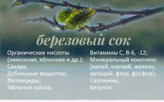 Березовый сок — целебный напиток при подагре и его полезные свойства