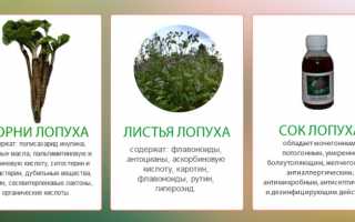 Как применять лопух для лечения межпозвоночной грыжи? Полезные советы и рекомендации