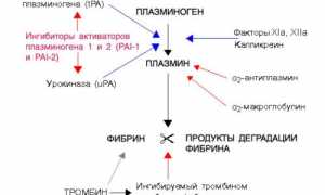 Препарат Серрата и его доступные заменители для здоровья